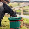 The-Girls - HayLo Horse Feeder