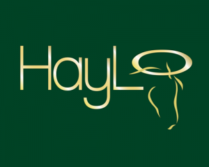 690-x-400---HayLo-Horse Feeder Logo