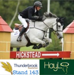 haylo for sale through thunderbrook at hickstead royal international horse show