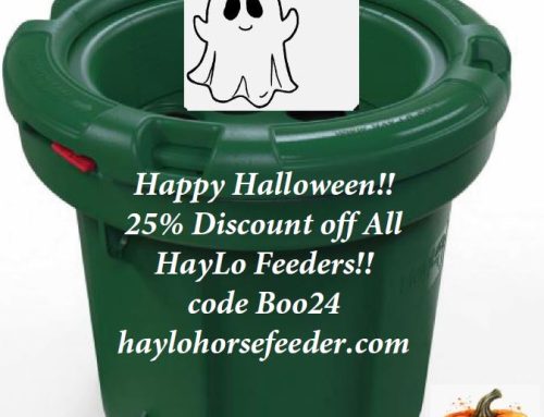 25% Happy Halloween Discount!!