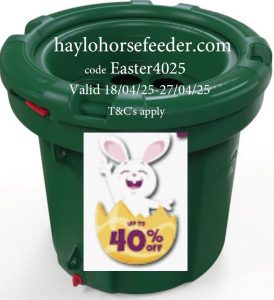 40% Easter HayLo Sale
